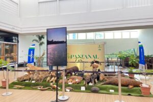Exposição no Passeio das Águas Shopping apresenta animais empalhados