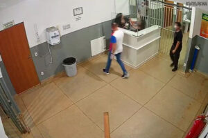 Mulher é presa por agredir servidores de Hospital em Goianápolis e liberada após fiança