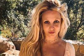 Britney Spears se declara para cachorro e cria suspeita de término do noivado