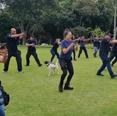 PC investiga se artefato foi jogado de propósito. Cachorro morre após morder bomba durante treinamento de policiais no Rio de Janeiro