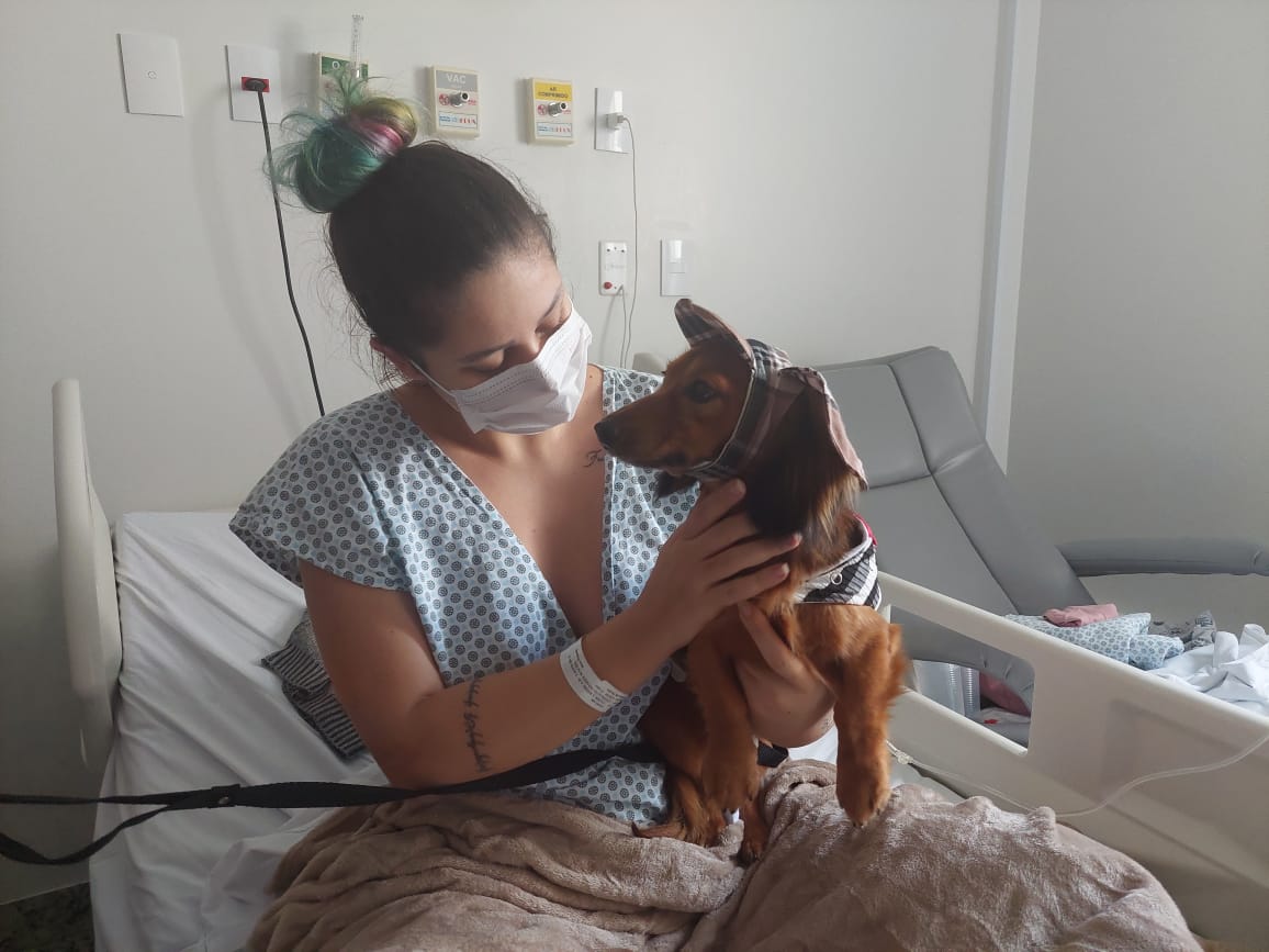 Cães 'terapeutas' alegram pacientes internados em hospital de Aparecida (GO)