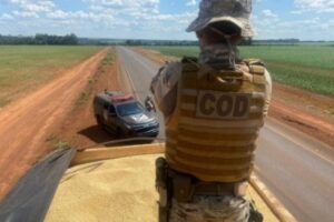 Polícia apreende 50 toneladas de soja sem documentação no Sudoeste de Goiás