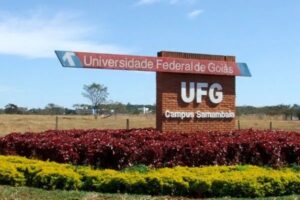 O Conselho Universitário (Consuni) aprovou o retorno 100% presencial na Universidade Federal de Goiás para o ano letivo de 2022. (Foto: reprodução)