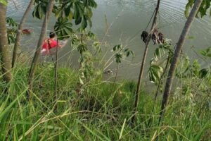 Jovem se afoga após tentar atravessar lago Flor do Ipê em Senador Canedo (GO)