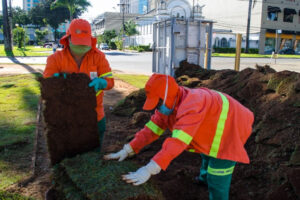 Prefeitura de Goiânia planta 71,5 mil metros quadrados de grama em praças, avenidas e canteiros