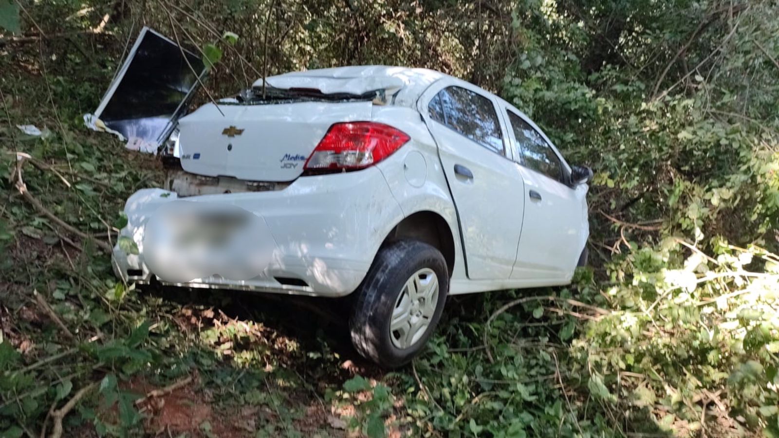 Carro capotou caindo em uma ribanceira de difícil acesso (Foto: Divulgação - Corpo de Bombeiros)