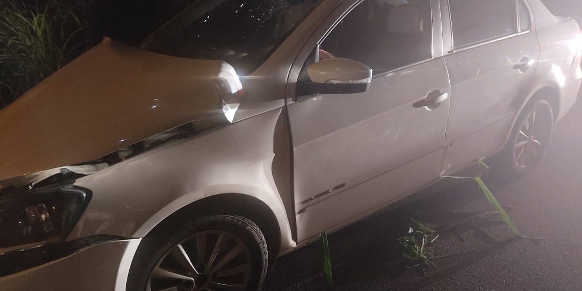 Carro não capotou ao romper mureta e despencar de viaduto na BR-060, entre Goiânia e Abadia (Foto: PRF - Divulgação)