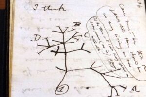Manuscritos da teoria da evolução foram deixados em biblioteca. Cadernos desaparecidos de Darwin são recuperados após 22 anos