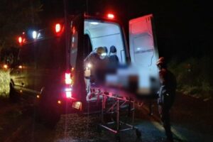 Motociclista fica ferido após atropelar cachorro na GO-330 em Catalão (GO)