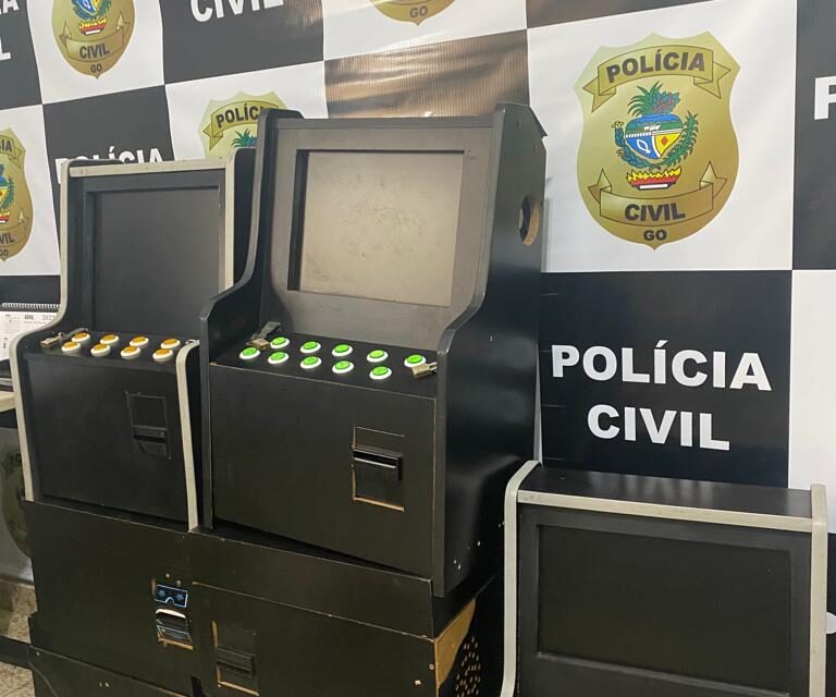 (Foto: Divulgação/Polícia Civil)