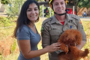 Bombeiros resgatam cachorro preso em buraco de quase três metros em Goiânia