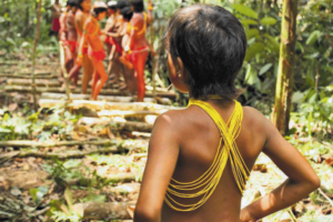 Mal entram na puberdade, meninas indígenas são cobiçadas e abusadas sexualmente por garimpeiros Foto: Arquivo pessoal