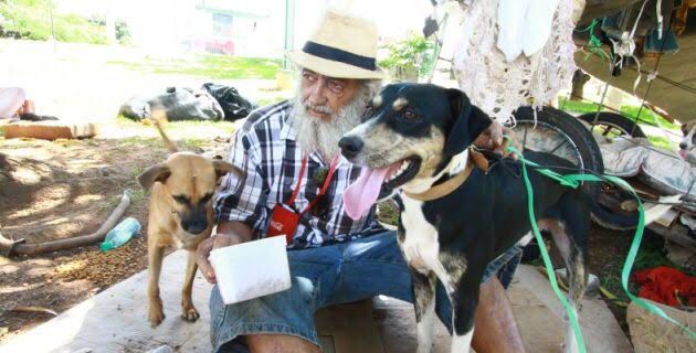 Um homem, de 63 anos, que ficou conhecido por adotar e cuidar de animais de rua, foi assassinado a facadas no domingo (10), em Goiânia (Foto: reprodução)