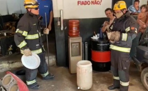 Bombeiros resgatam cobra em borracharia de Caldas Novas (GO)