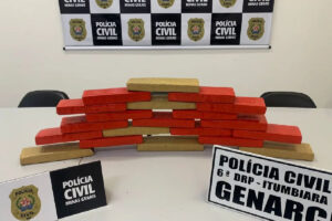 Adolescente de 16 anos foi apreendido em MG suspeito de tentar transportar 20 tabletes de maconha para Goiás