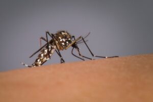 Casos de dengue em Anápolis